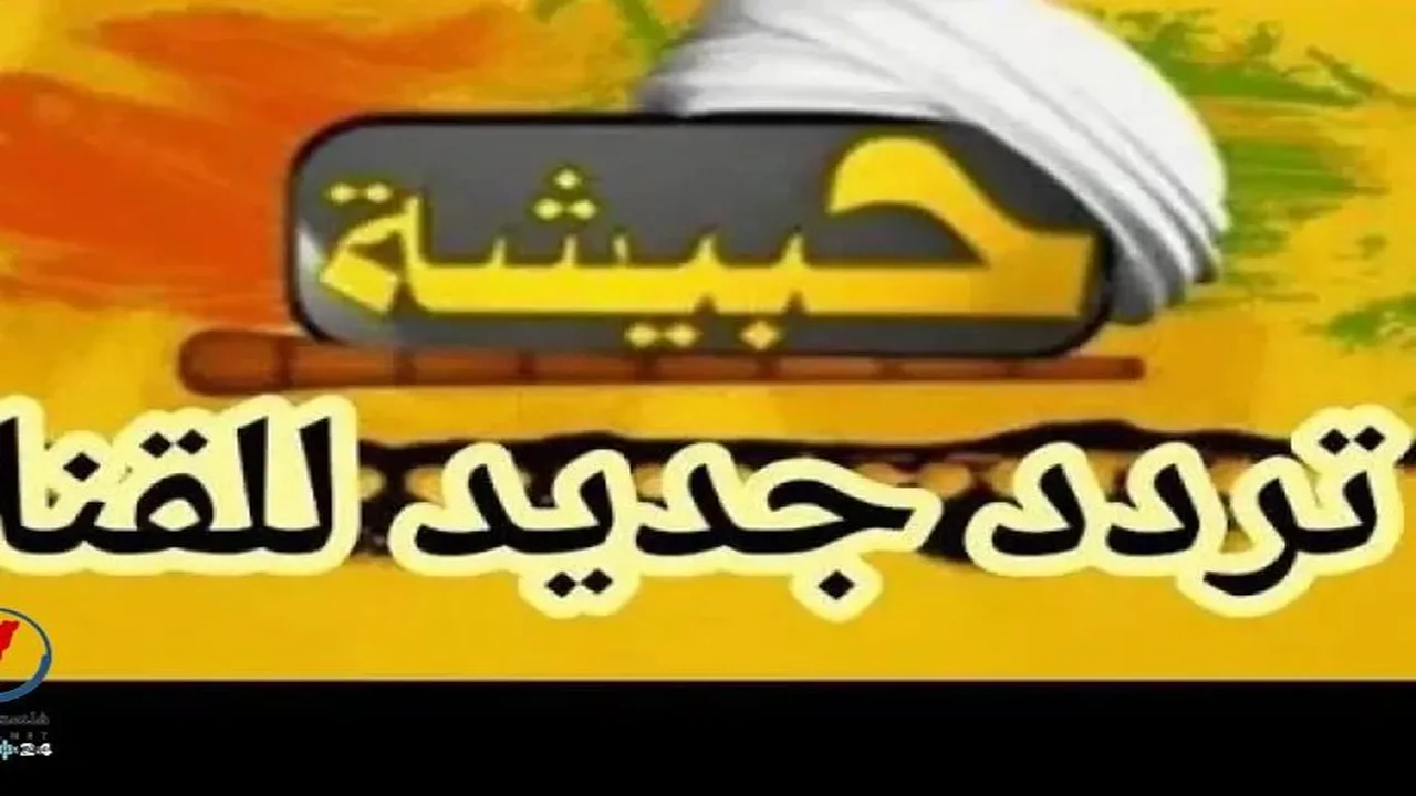 عودة تردد قناة حبيشة للسينما العالمية إلى البث عبر القمر الصناعي نايل سات